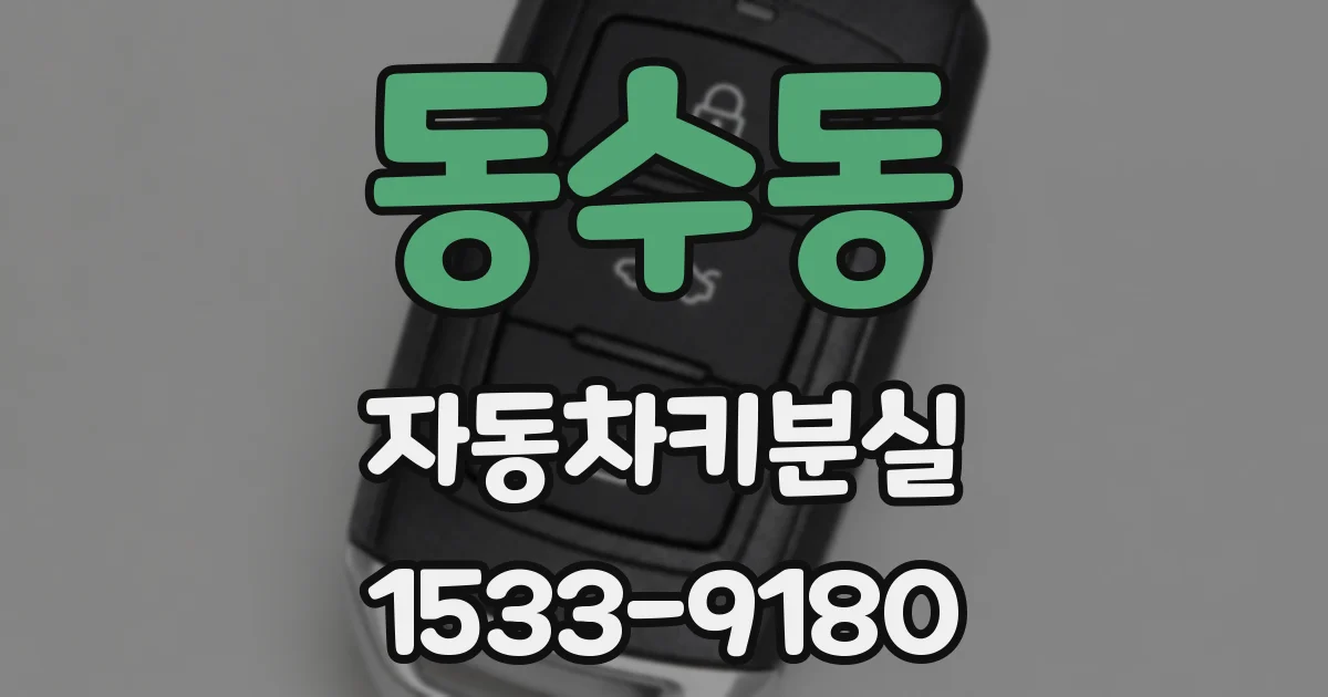 동수동 자동차키분실