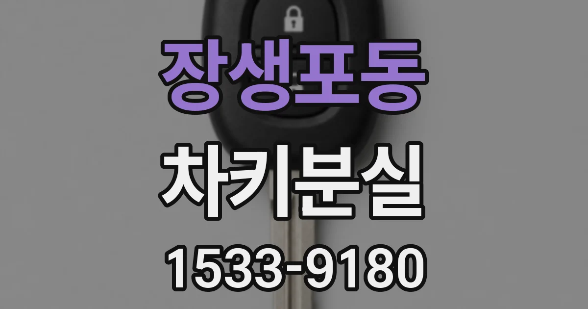 장생포동 차키분실