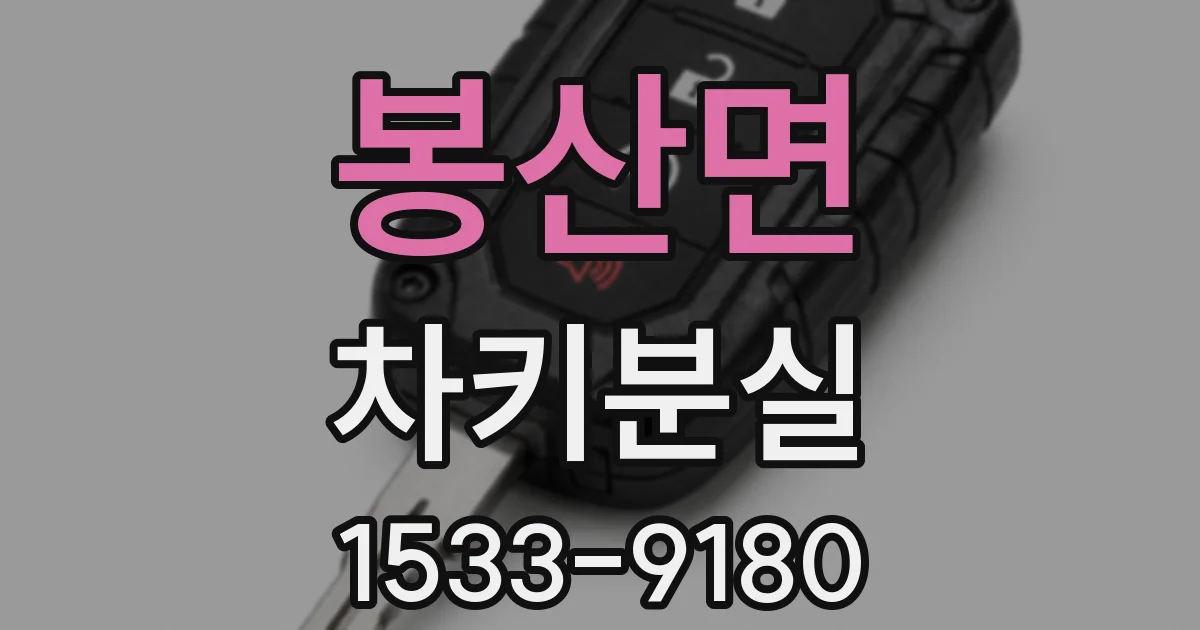 봉산면 차키분실