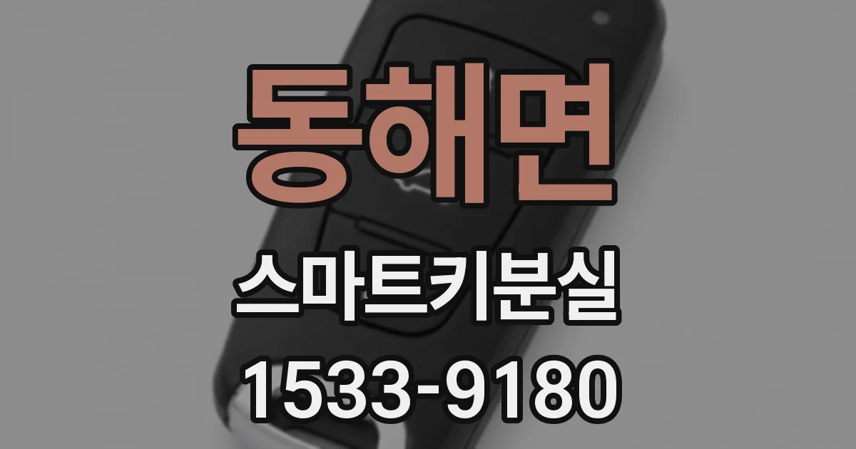 동해면 스마트키분실