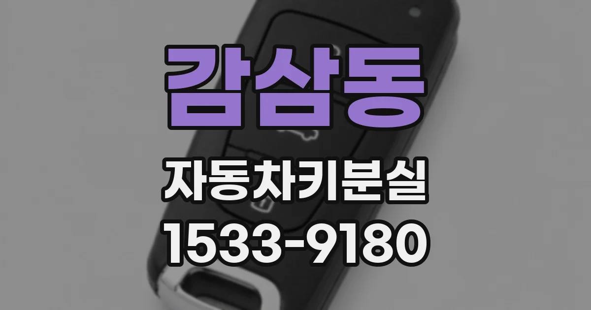 감삼동 자동차키분실