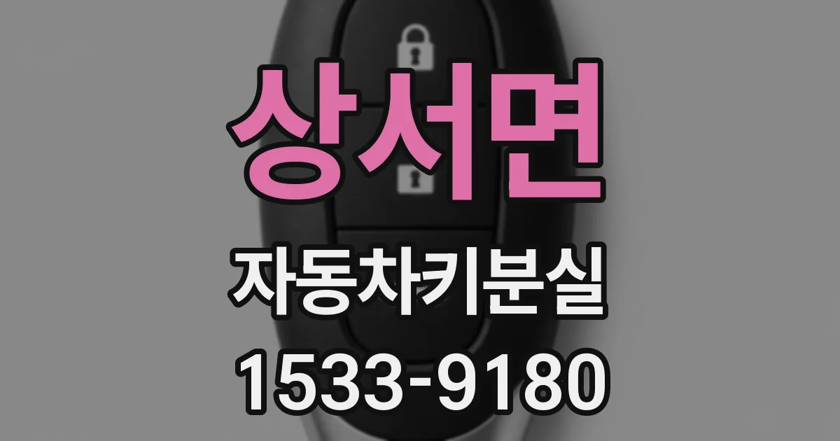 상서면 자동차키분실