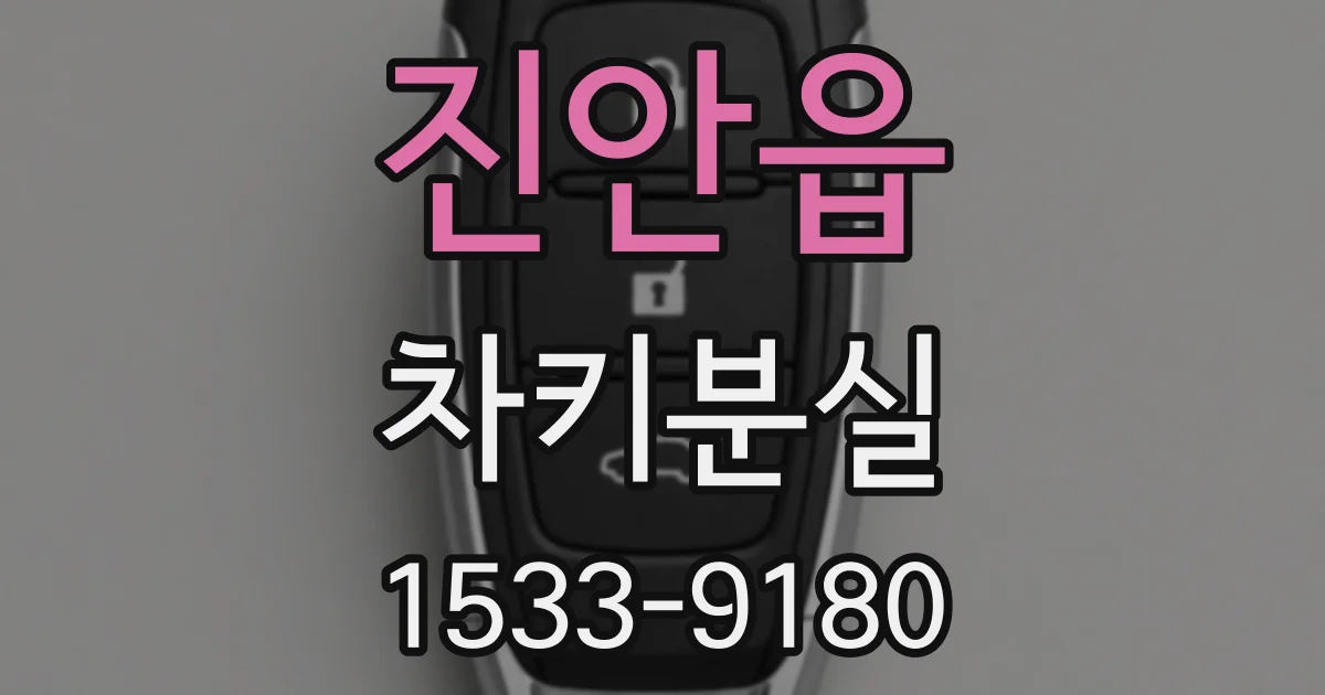 진안읍 차키분실
