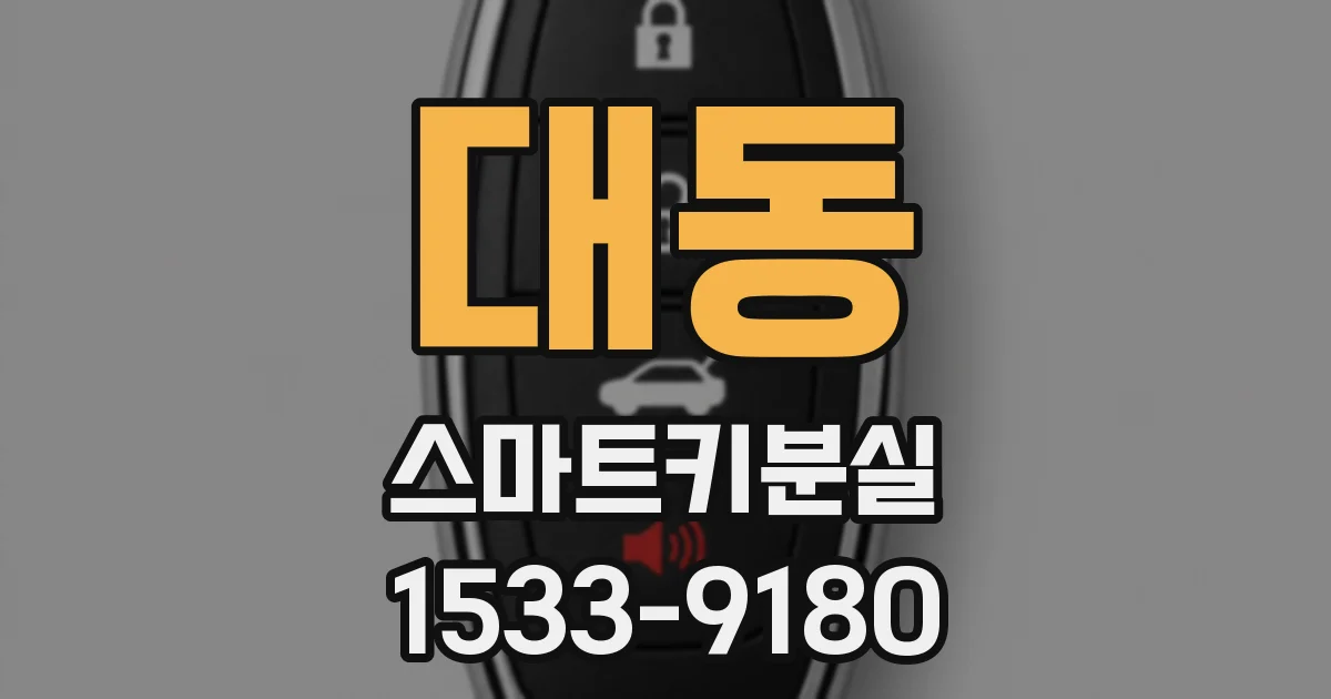대동 스마트키분실