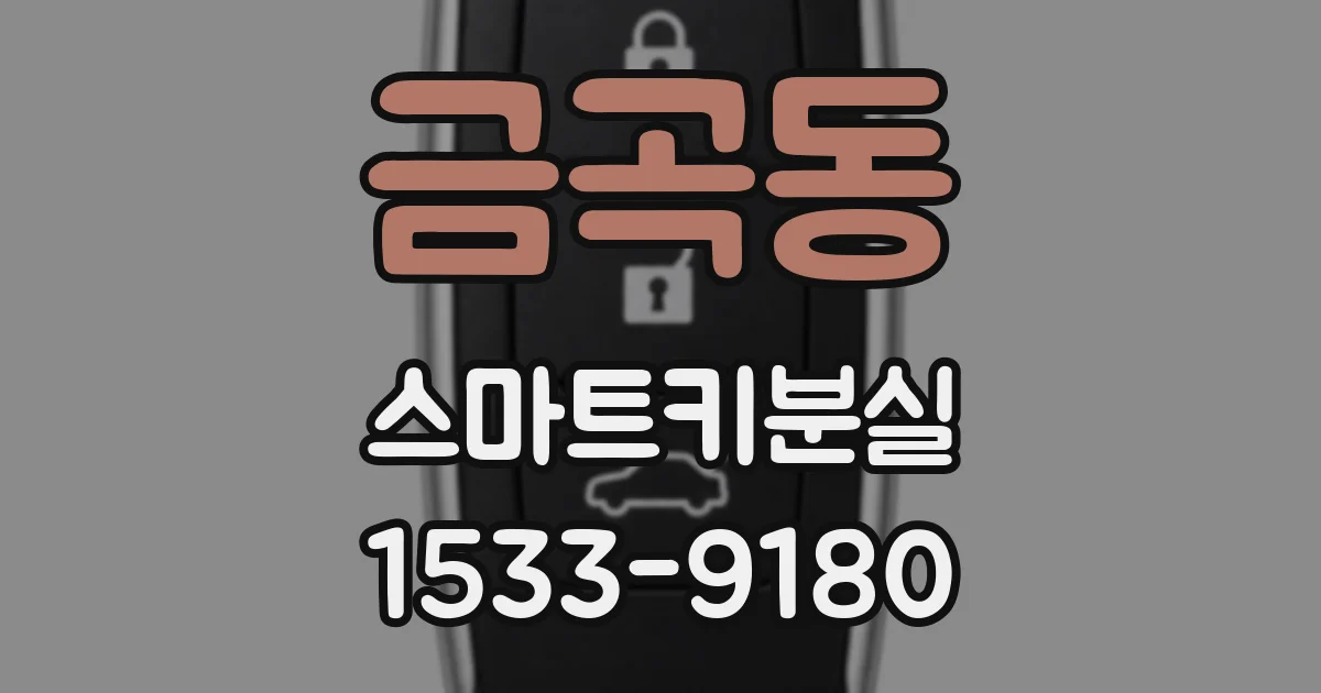 금곡동 스마트키분실
