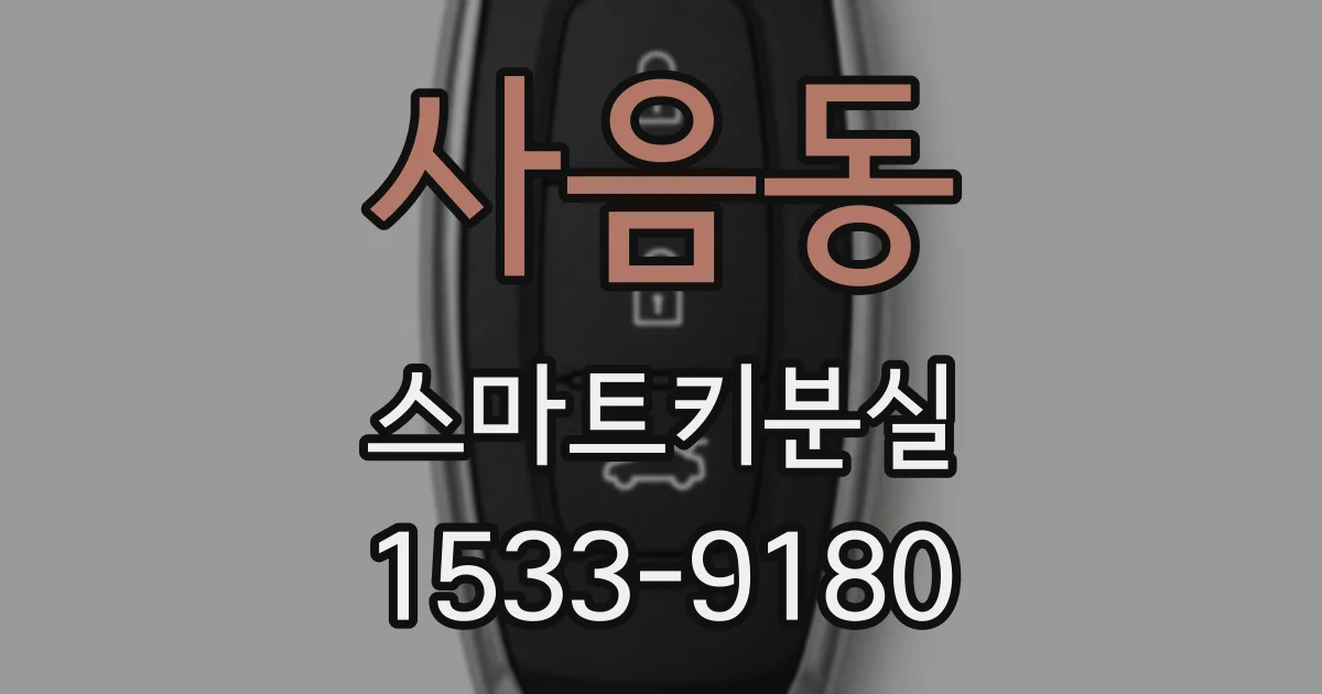 사음동 스마트키분실