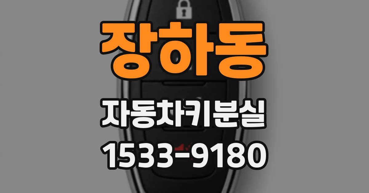 장하동 자동차키분실