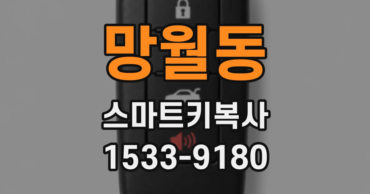 망월동 스마트키복사