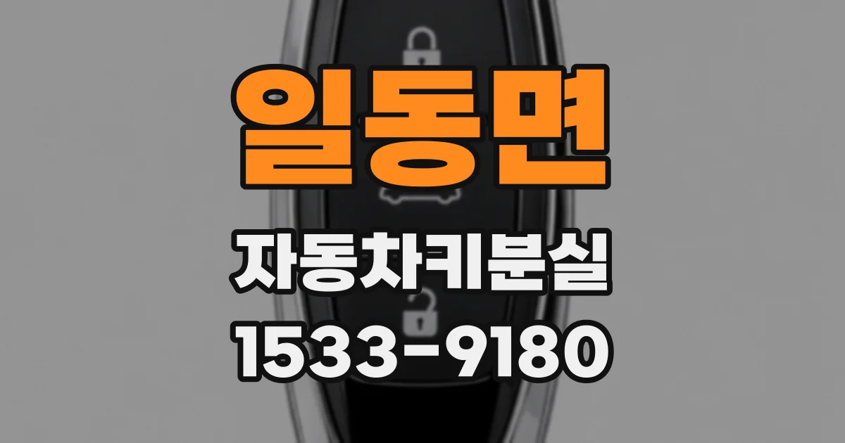 일동면 자동차키분실