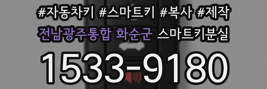 전남광주통합 화순군 스마트키분실