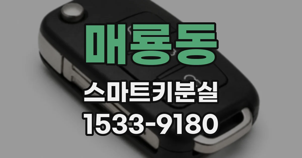 매룡동 스마트키분실