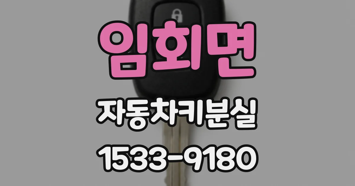 임회면 자동차키분실