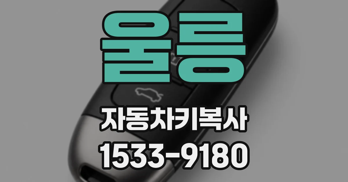 울릉 자동차키복사
