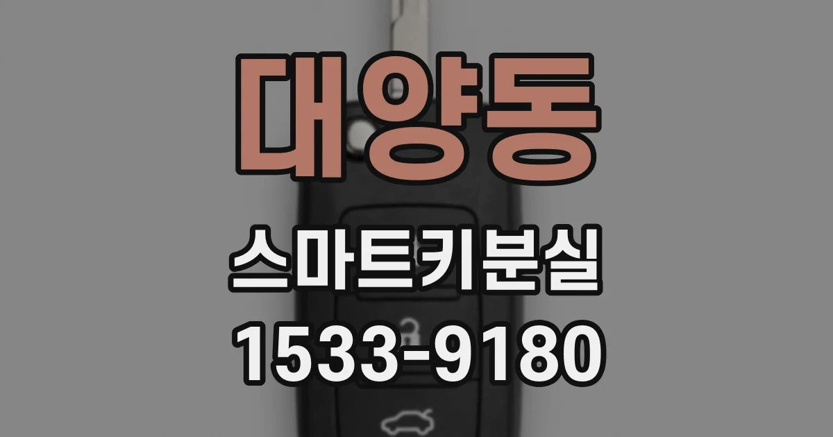 대양동 스마트키분실