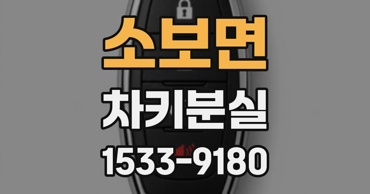 소보면 차키분실