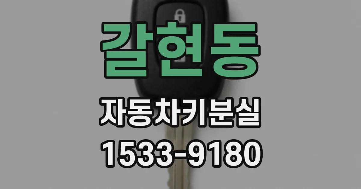 갈현동 자동차키분실