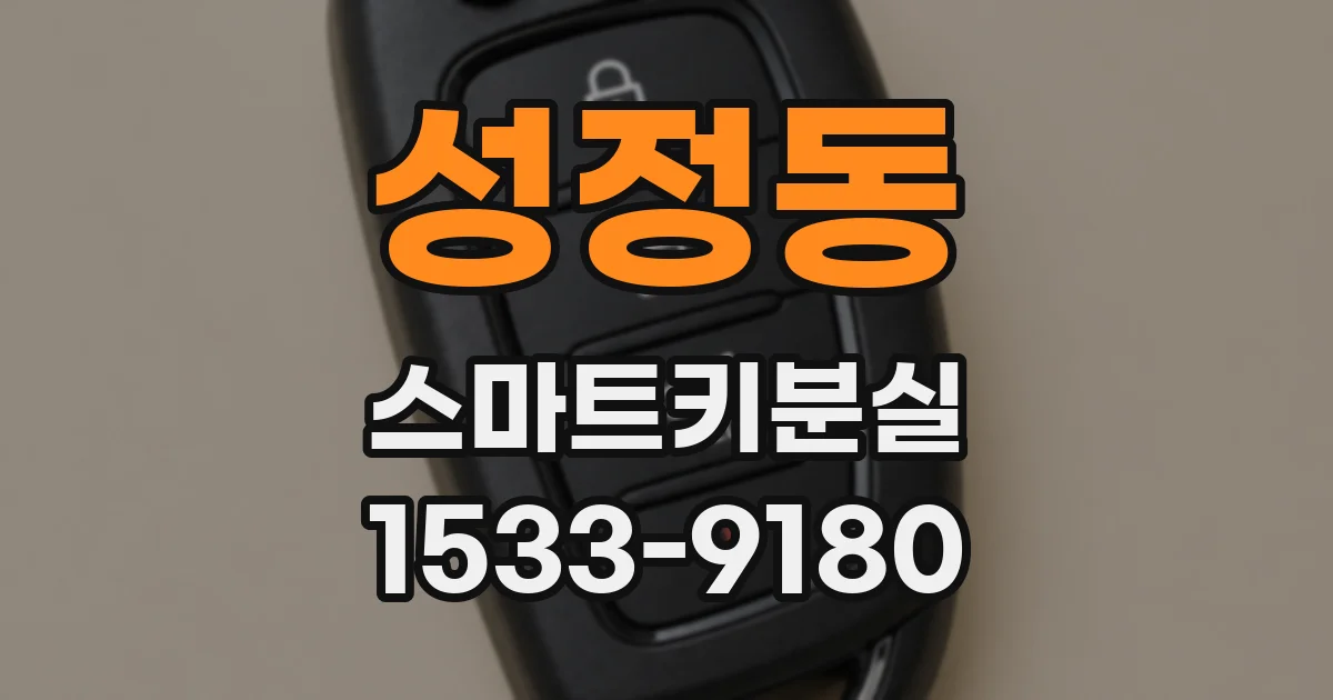 성정동 스마트키분실