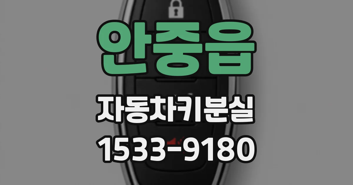 안중읍 자동차키분실
