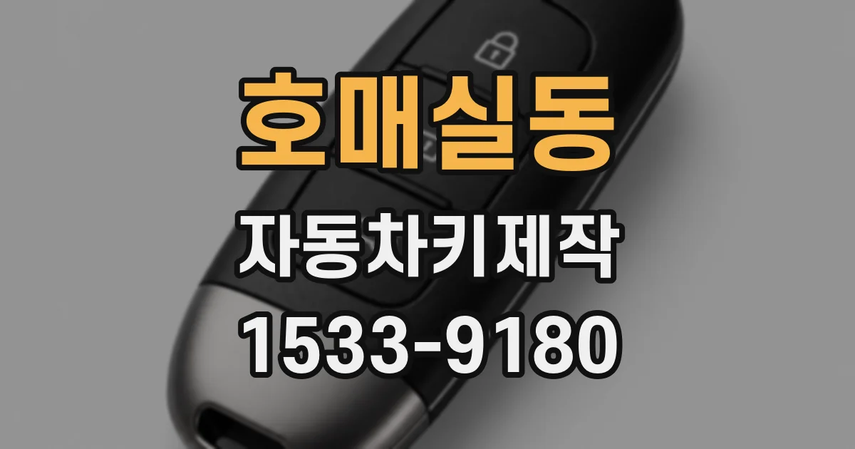 호매실동 자동차키제작