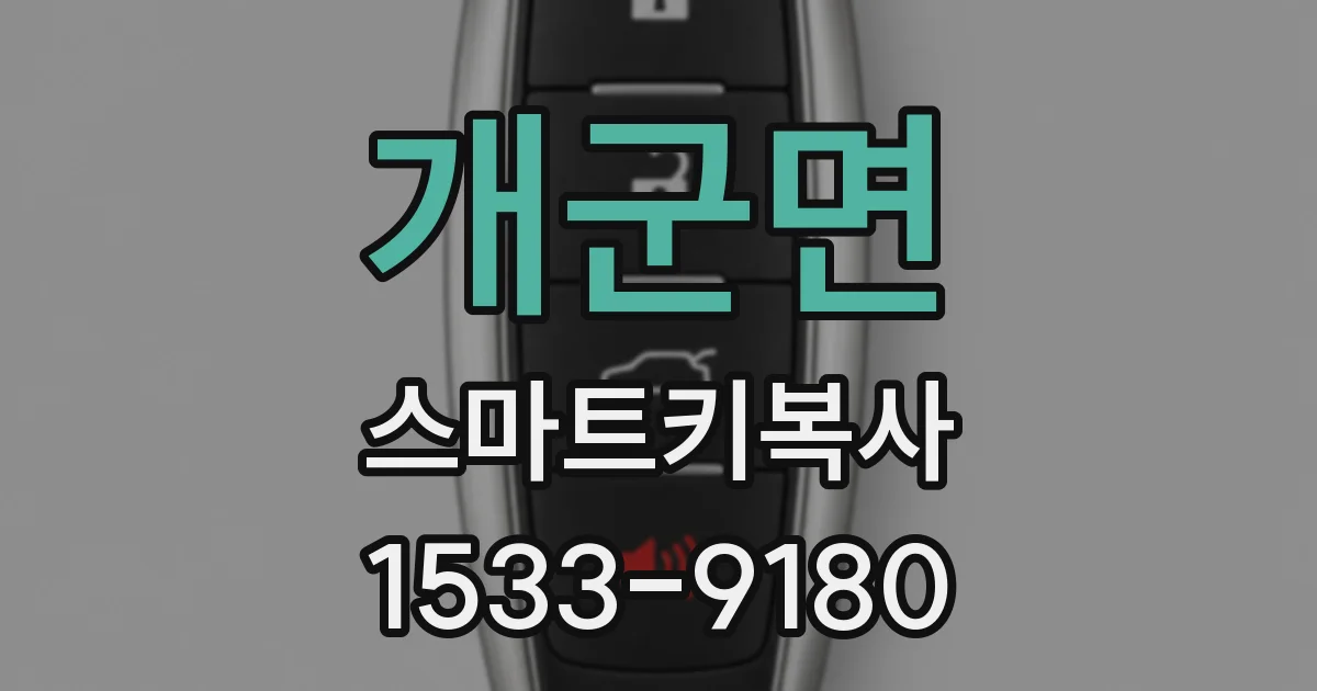 개군면 스마트키복사