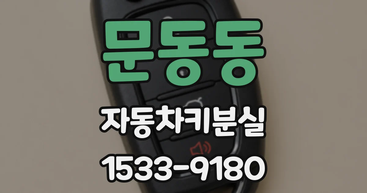 문동동 자동차키분실