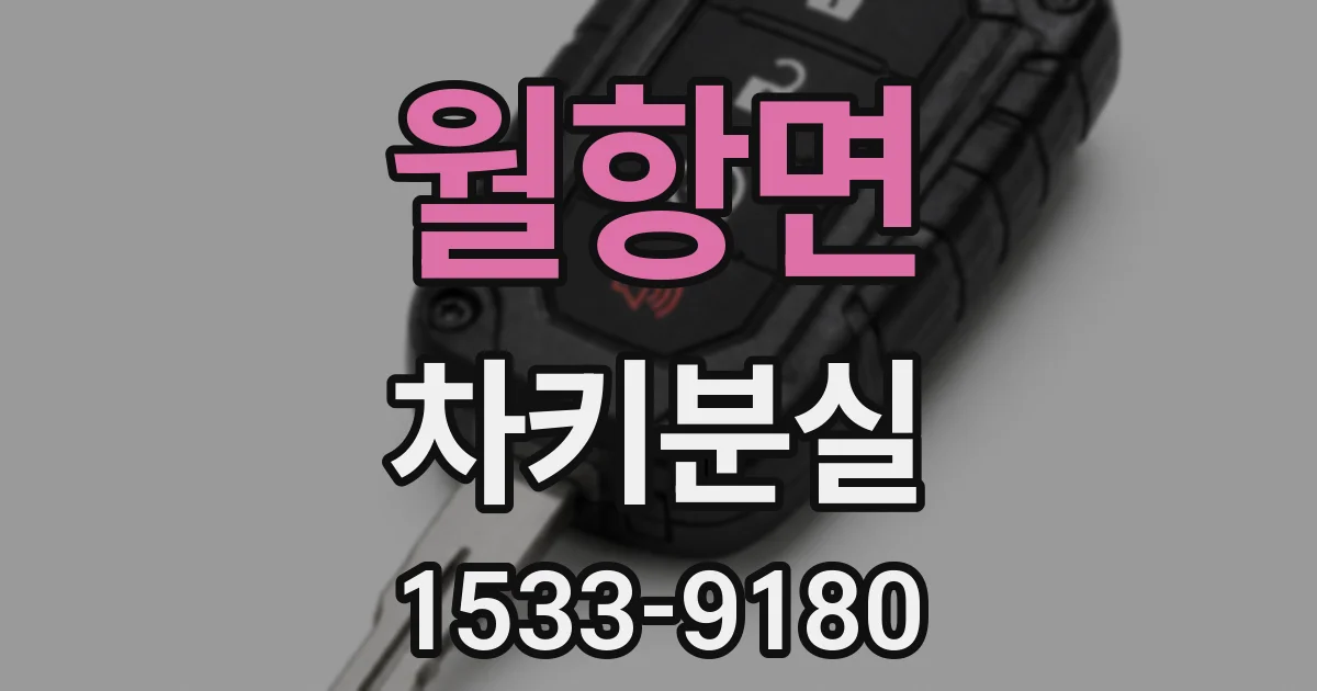 월항면 차키분실