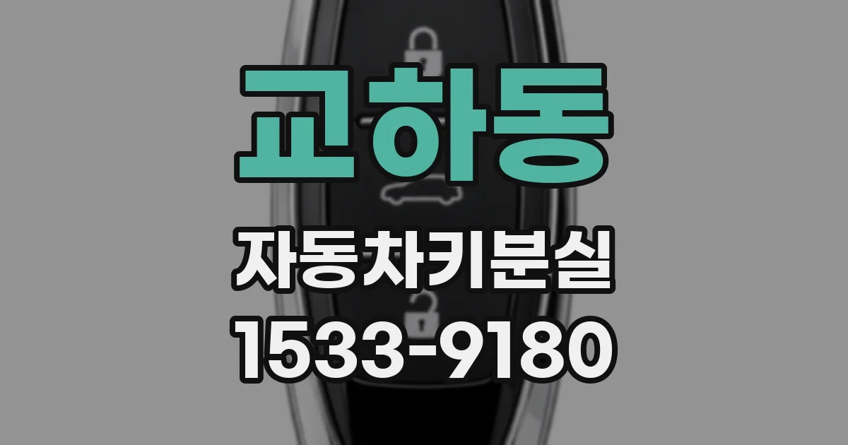 교하동 자동차키분실