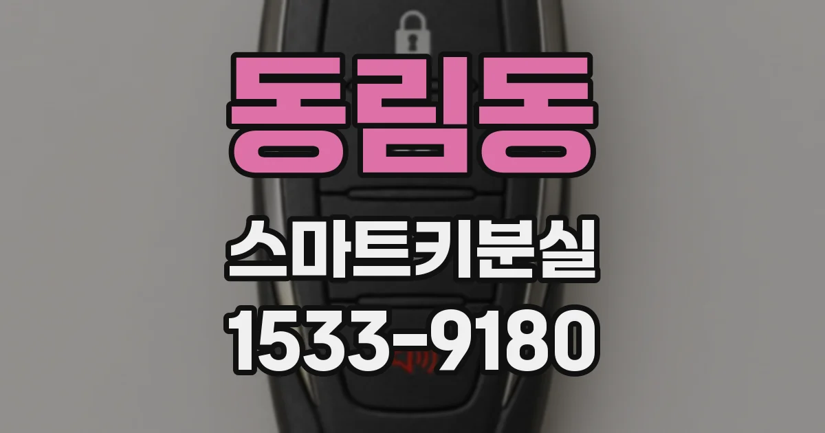동림동 스마트키분실