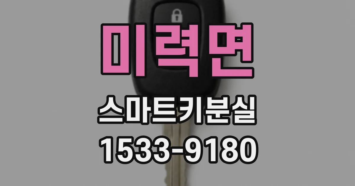미력면 스마트키분실