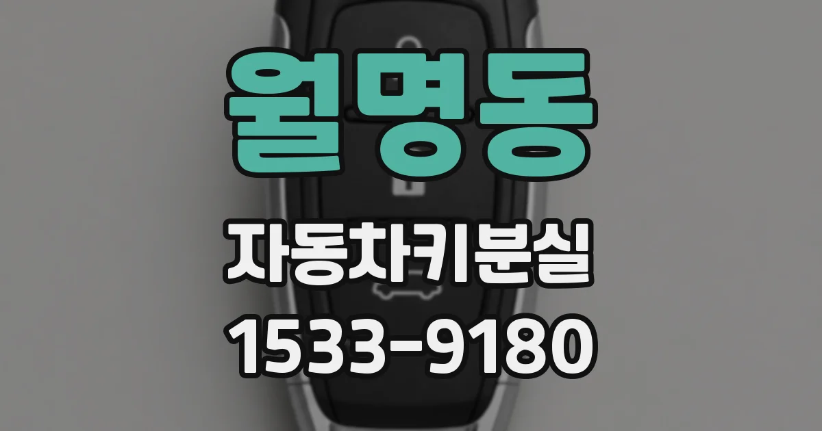 월명동 자동차키분실