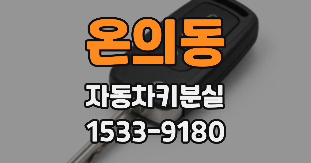 온의동 자동차키분실