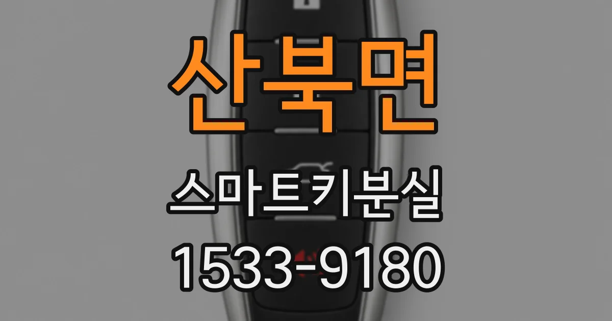 산북면 스마트키분실