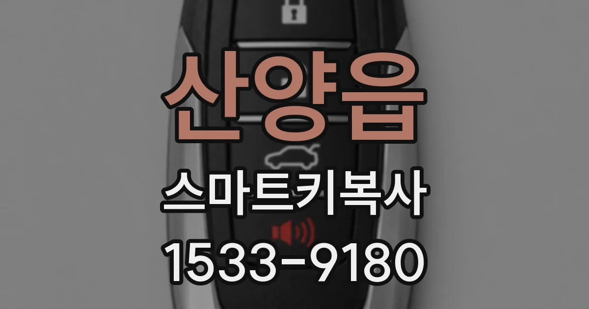 산양읍 스마트키복사