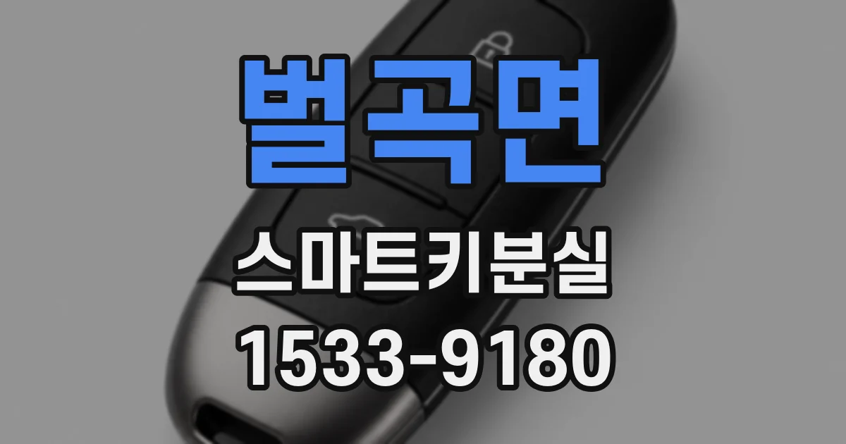 벌곡면 스마트키분실