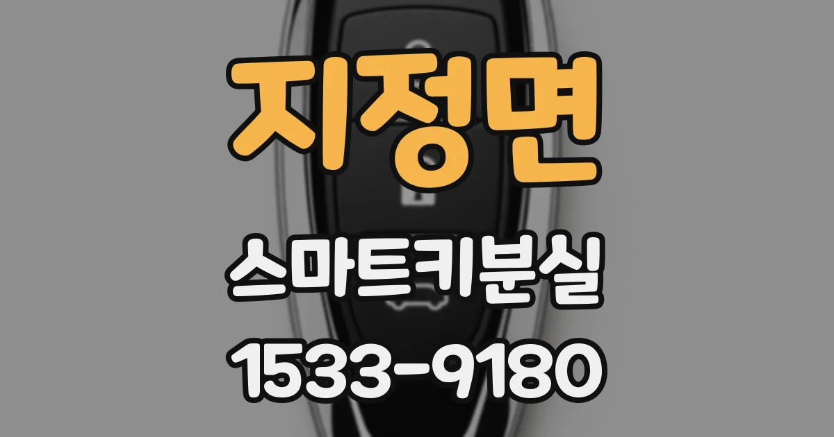 지정면 스마트키분실