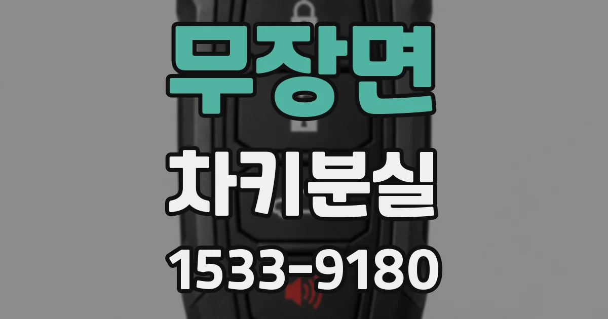 무장면 차키분실