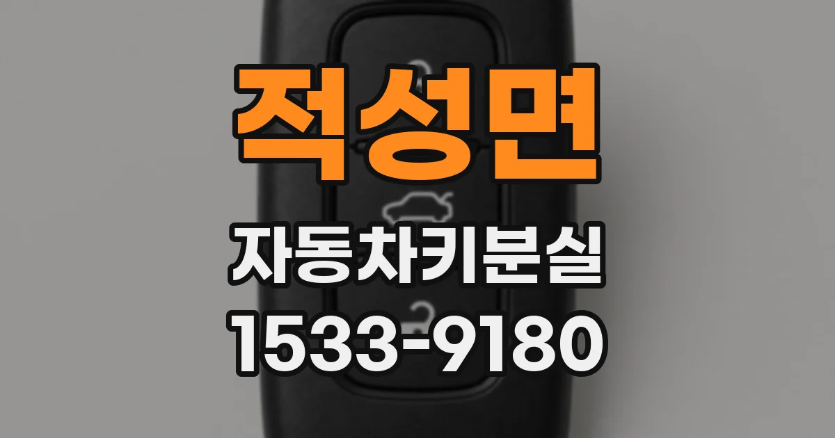 적성면 자동차키분실