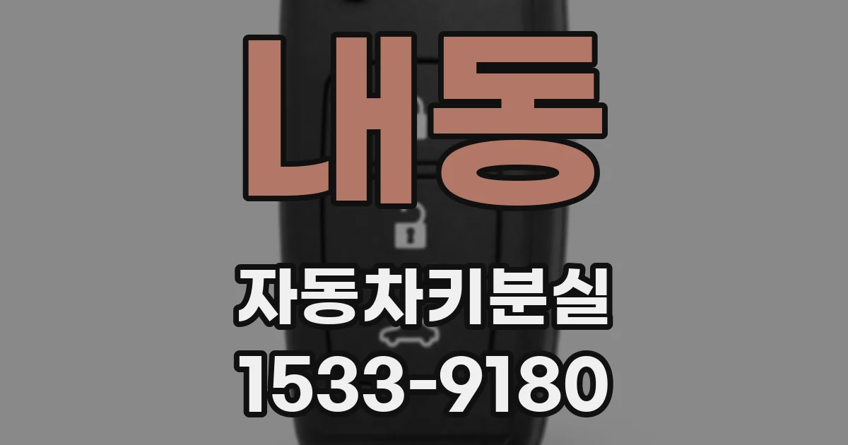 내동 자동차키분실