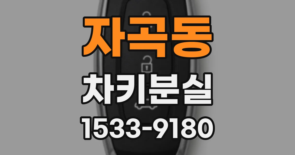 자곡동 차키분실