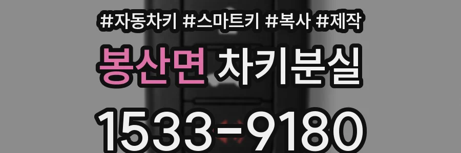 봉산면 차키분실