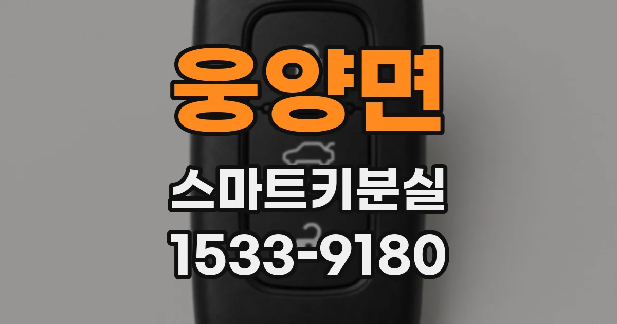 웅양면 스마트키분실