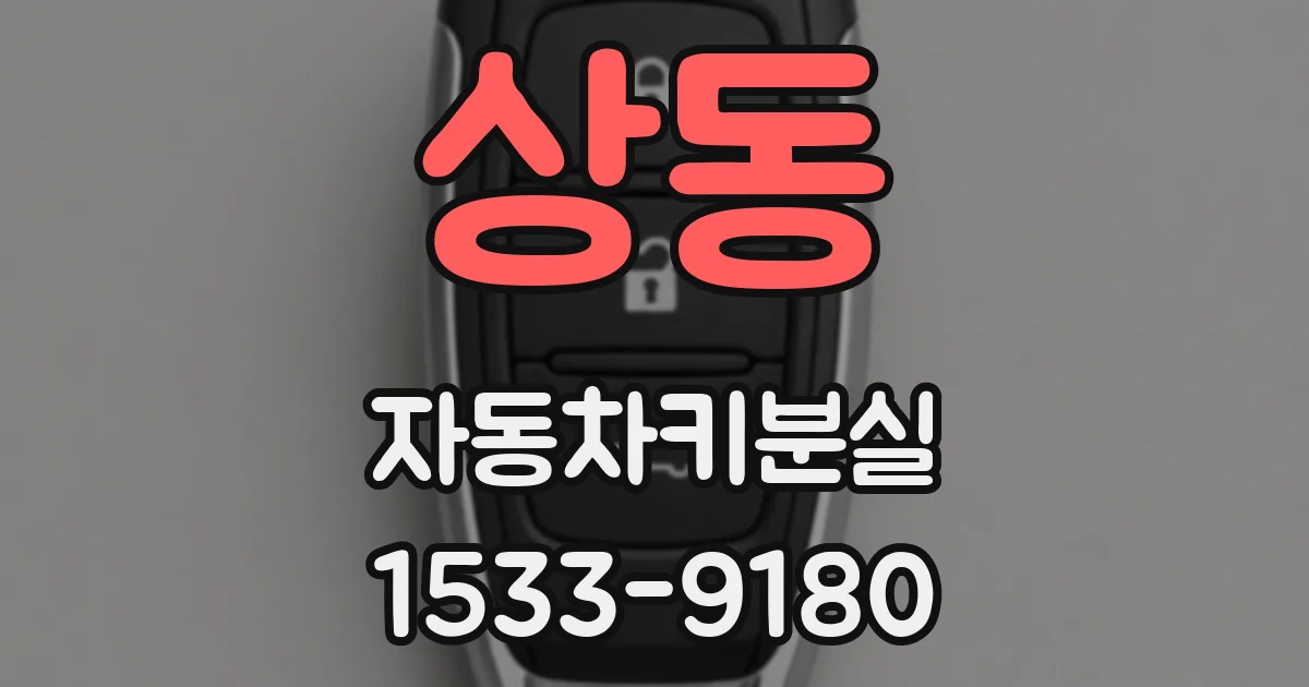 상동 자동차키분실