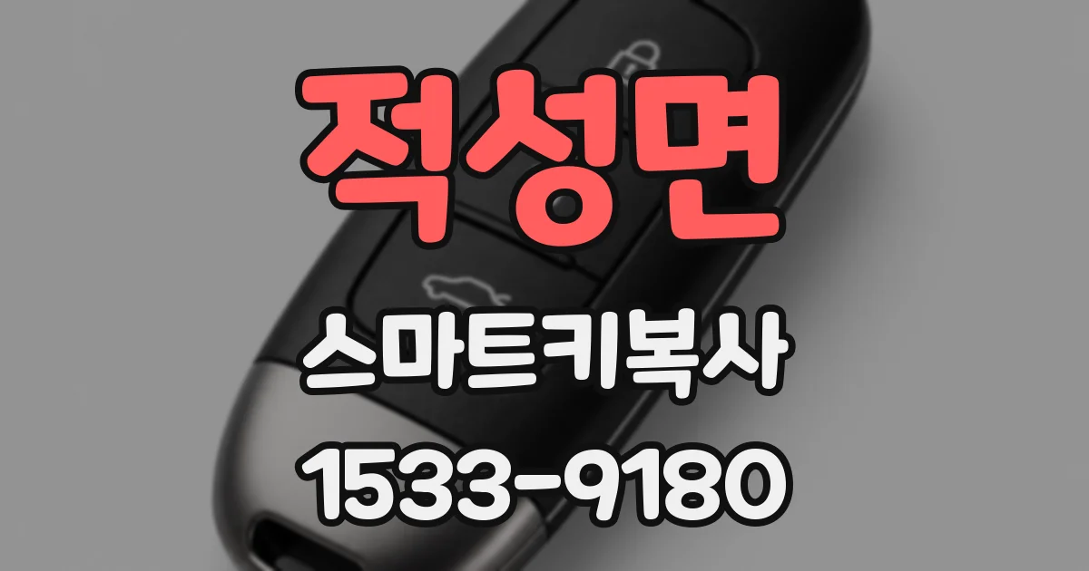 적성면 스마트키복사