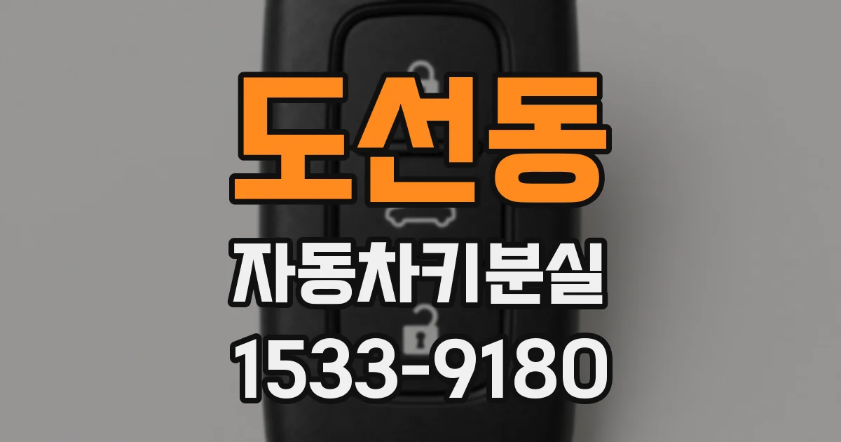 도선동 자동차키분실
