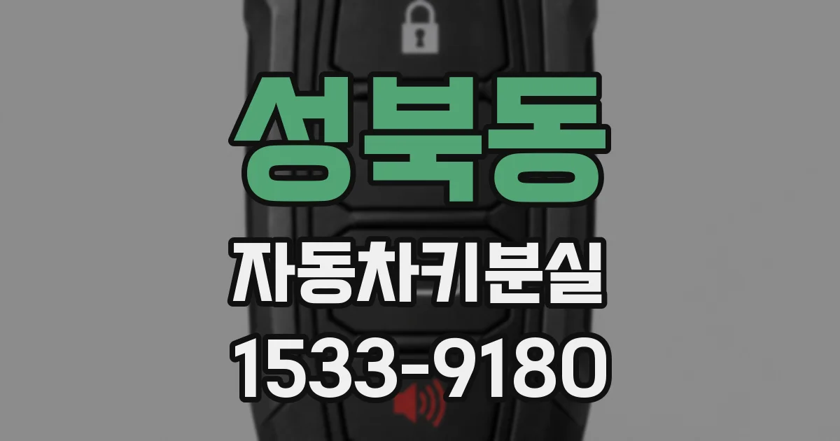 성북동 자동차키분실