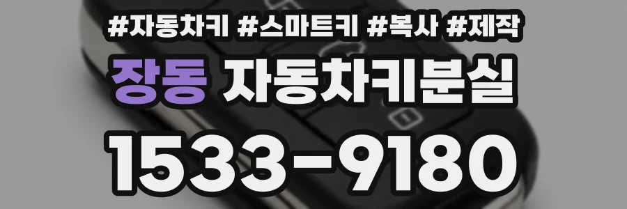 장동 자동차키분실