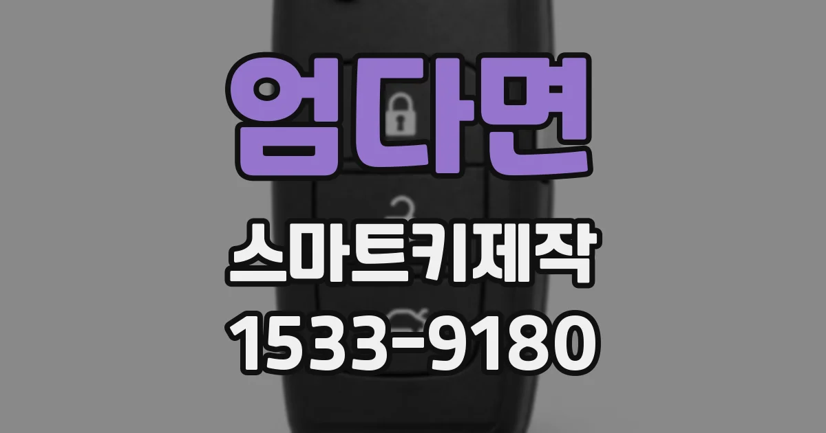 엄다면 스마트키제작