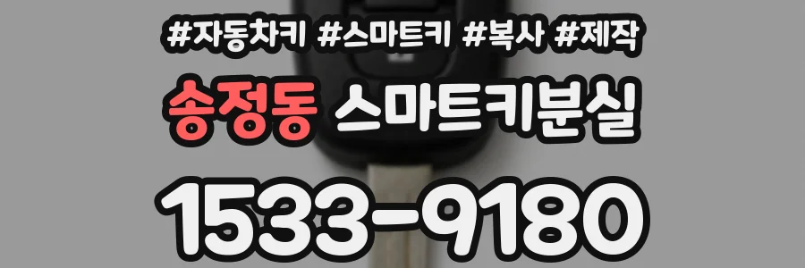 송정동 스마트키분실