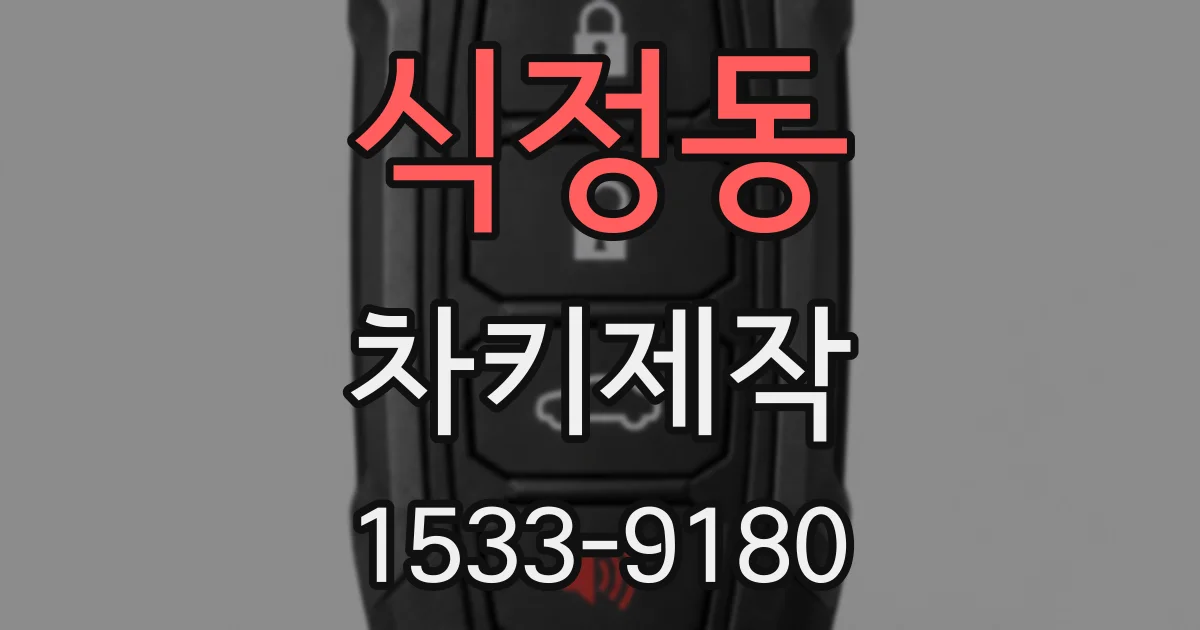 식정동 차키제작