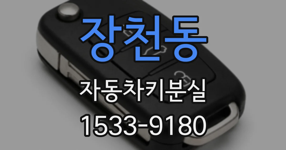 장천동 자동차키분실